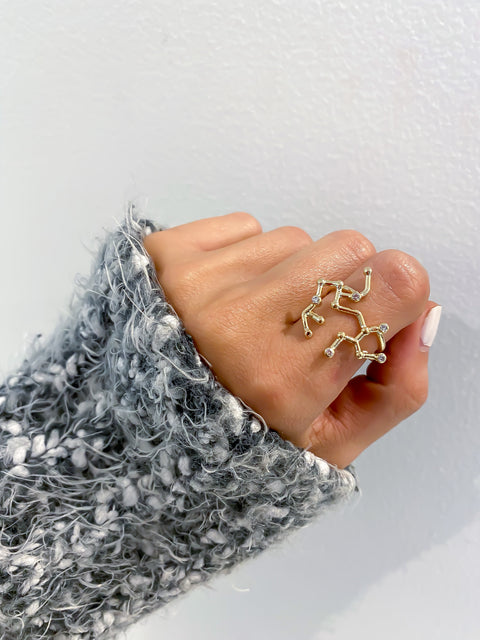 Ring Sagittarius