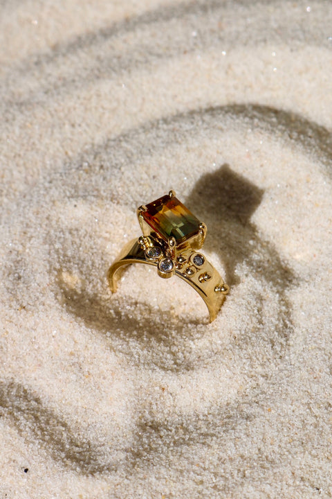 Ring Brut 4