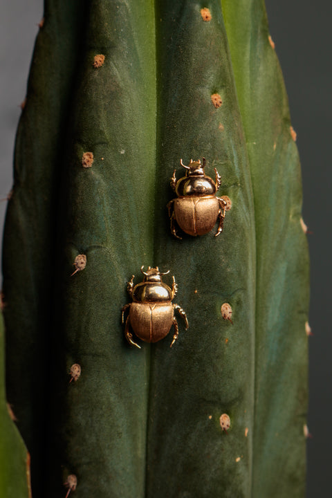 Egyptian Scarab Earrings - Fauna Collection.