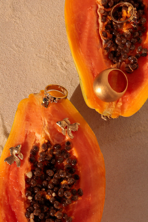 Delta fish earrings “Fauna Collection”