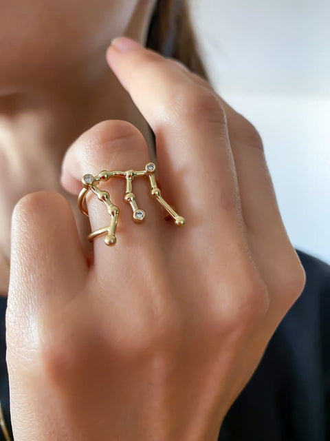 Ring Aquarius