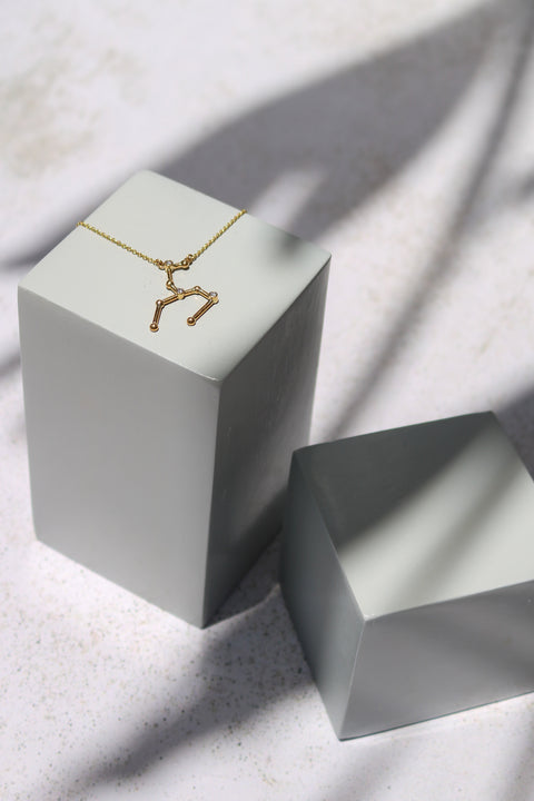 Necklace Gold Leo
