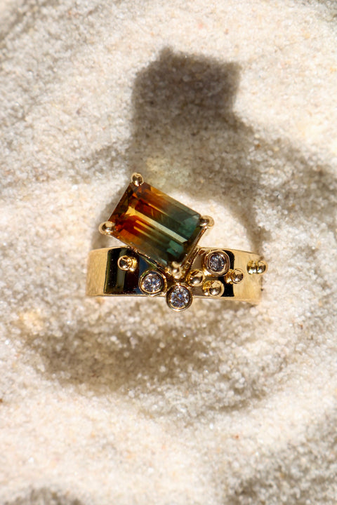 Ring Brut 4
