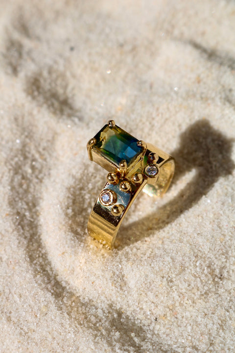 Ring Brut 1