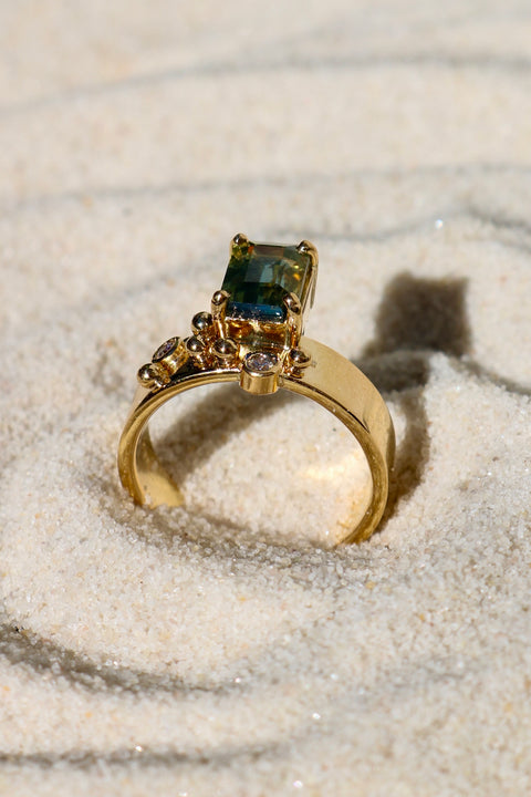 Ring Brut 1