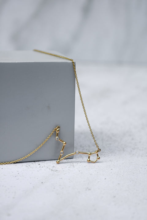 Necklace Gold Pisces