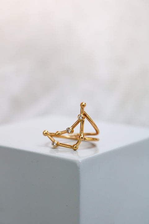 Ring Capricorn