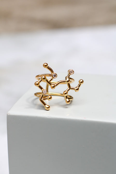 Ring Sagittarius